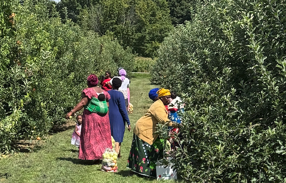 Harvesting Hope: Humura 2025 in Review